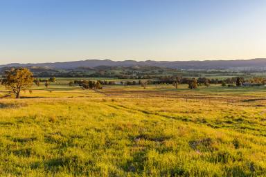 Lifestyle Auction - NSW - Mudgee - 2850 - PREMIER MUDGEE LIVING WITH PANORAMIC VIEWS  (Image 2)