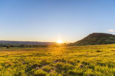 Lifestyle For Sale - NSW - Mudgee - 2850 - PREMIER MUDGEE LIVING WITH PANORAMIC VIEWS  (Image 2)