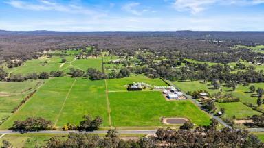 Residential Block For Sale - VIC - Emu Creek - 3551 - A Blank Canvas  (Image 2)