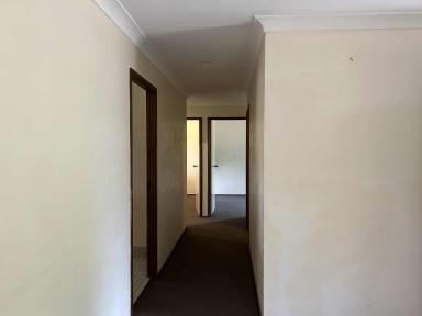 House For Lease - NSW - Tamworth - 2340 - Tidy Three Bedroom in Oxley Vale  (Image 2)