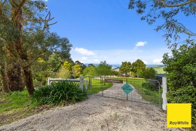 House Sold - VIC - Mount Best - 3960 - TOORA SKIES- A Stunning Lifestyle Property with Breathtaking Views  (Image 2)