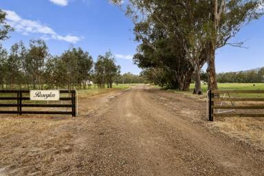 Lifestyle For Sale - VIC - Euroa - 3666 - "Roseglen" Federation Elegance on 21 Acres with Seven Creeks Frontage  (Image 2)