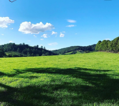 Lifestyle For Sale - NSW - Gloucester - 2422 - Over A Century of Proven Gloucester Productivity  (Image 2)