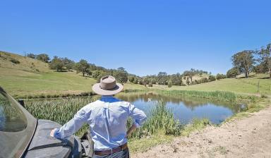 Lifestyle Auction - NSW - Gloucester - 2422 - Over A Century of Proven Gloucester Productivity  (Image 2)