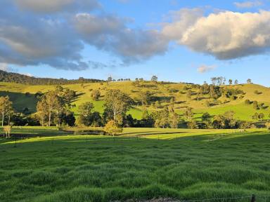 Lifestyle For Sale - NSW - Gloucester - 2422 - Over A Century of Proven Gloucester Productivity  (Image 2)