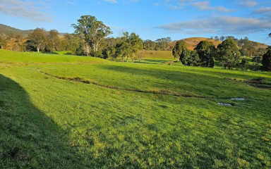 Lifestyle For Sale - NSW - Gloucester - 2422 - Over A Century of Proven Gloucester Productivity  (Image 2)