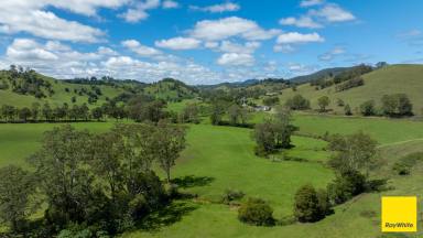 Lifestyle For Sale - NSW - Gloucester - 2422 - Historic Waukivory Valley Holding  (Image 2)