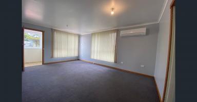 House Leased - TAS - Zeehan - 7469 - Family living in the heart of Zeehan (Image 2)