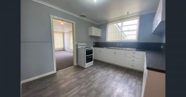 House Leased - TAS - Zeehan - 7469 - Family living in the heart of Zeehan (Image 2)