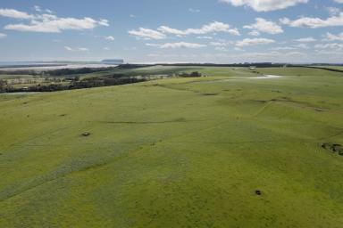 Cropping For Sale - TAS - Forest - 7330 - PREMIUM IRRIGATION - CIRCULAR HEAD REGION  (Image 2)