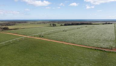 Cropping For Sale - TAS - Forest - 7330 - PREMIUM IRRIGATION - CIRCULAR HEAD REGION  (Image 2)