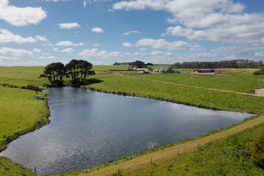 Cropping For Sale - TAS - Forest - 7330 - PREMIUM IRRIGATION - CIRCULAR HEAD REGION  (Image 2)