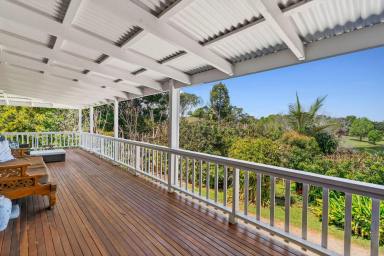 House For Sale - QLD - Maleny - 4552 - Hidden Oasis on Mountain View Road! (Image 2)