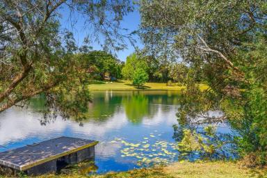 House For Sale - QLD - Maleny - 4552 - Hidden Oasis on Mountain View Road! (Image 2)