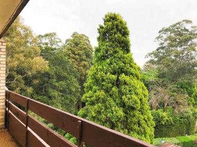 Apartment For Lease - NSW - Chatswood - 2067 - Large Light Filled Unit - 10 min walk to Chatswood Station  (Image 2)