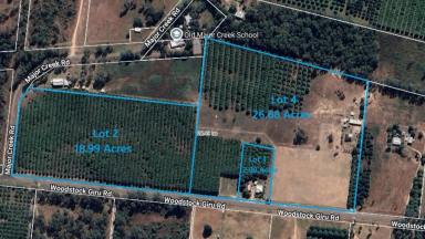 Cropping For Sale - QLD - Majors Creek - 4816 - Mango Orchid with Rural Lifestyle Potential  (Image 2)