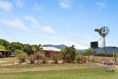 Lifestyle For Sale - QLD - Majors Creek - 4816 - 2.09 Acres in the Popular Majors Creek  (Image 2)