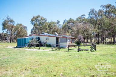 Acreage/Semi-rural For Sale - NSW - Torrington - 2371 - Eco Retreat Offering Sustainable Living and Country Charm  (Image 2)