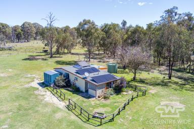 Acreage/Semi-rural For Sale - NSW - Torrington - 2371 - Eco Retreat Offering Sustainable Living and Country Charm  (Image 2)