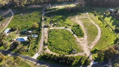 Residential Block For Sale - WA - Nowergup - 6032 - Country Lifestyle and Opportunity (Image 2)