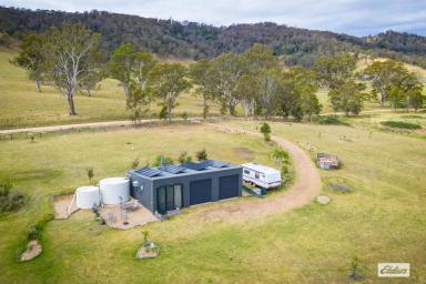 Acreage/Semi-rural For Sale - NSW - Candelo - 2550 - CREEK SIDE PARADISE  (Image 2)
