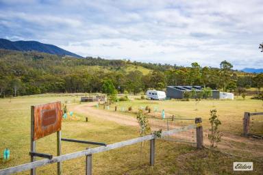 Acreage/Semi-rural For Sale - NSW - Candelo - 2550 - CREEK SIDE PARADISE  (Image 2)