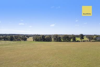 Lifestyle For Sale - WA - Dinninup - 6244 - Your Blank Canvas for a Country Lifestyle (Image 2)