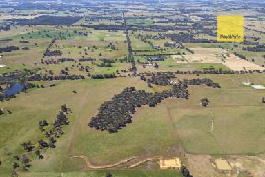 Lifestyle For Sale - WA - Dinninup - 6244 - Your Blank Canvas for a Country Lifestyle (Image 2)