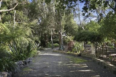 House For Sale - TAS - Low Head - 7253 - Rare Low Head Opportunity (Image 2)