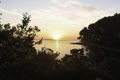 House For Sale - TAS - Low Head - 7253 - Enchanting Waterfront Living with Private Beach Access  (Image 2)