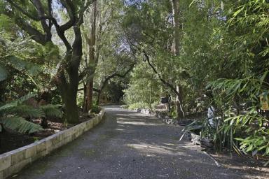 House For Sale - TAS - Low Head - 7253 - Rare Low Head Opportunity (Image 2)