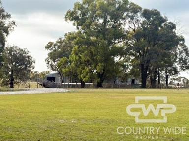 Mixed Farming For Sale - NSW - Emmaville - 2371 - "Deloraine" – A Practical Grazing Property or Lifestyle Opportunity with Solid Infrastructure and Reliable Water" (Image 2)