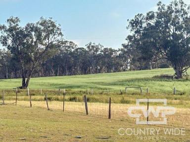 Mixed Farming For Sale - NSW - Emmaville - 2371 - "Deloraine" – A Practical Grazing Property or Lifestyle Opportunity with Solid Infrastructure and Reliable Water" (Image 2)