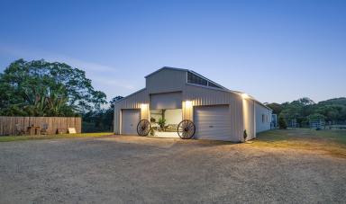 Acreage/Semi-rural For Sale - QLD - Cooroy - 4563 - Your Private Hinterland Legacy Awaits  (Image 2)