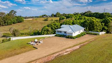 Acreage/Semi-rural For Sale - QLD - Cooroy - 4563 - Your Private Hinterland Legacy Awaits (Image 2)