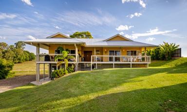 Acreage/Semi-rural For Sale - QLD - Cooroy - 4563 - Your Private Hinterland Legacy Awaits (Image 2)