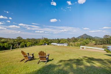 Acreage/Semi-rural For Sale - QLD - Cooroy - 4563 - Your Private Hinterland Legacy Awaits  (Image 2)
