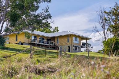 Acreage/Semi-rural For Sale - QLD - Cooroy - 4563 - Multigenerational Living on Cooroy Mountain Road. (Image 2)