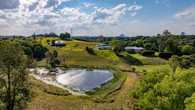 Acreage/Semi-rural For Sale - QLD - Cooroy - 4563 - Your Private Hinterland Legacy Awaits  (Image 2)