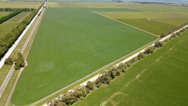 Cropping Auction - SA - Glenroy - 5277 - Prime Cropping (Image 2)