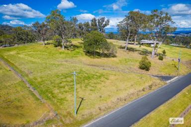 Residential Block For Sale - NSW - Bega - 2550 - SPECTACULAR NORTH FACING BLOCK ON THE EDGE OF BEGA (Image 2)