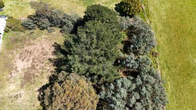 Residential Block For Sale - TAS - Beaconsfield - 7270 - Beaconsfield Vacant Land!  (Image 2)