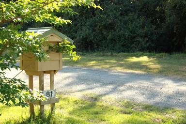 Commercial Farming For Lease - NSW - Bowman - 2422 - Commercial Lease or Sale 5.13 ha Hazelnut Orchard & Agritourism Opportunity  (Image 2)
