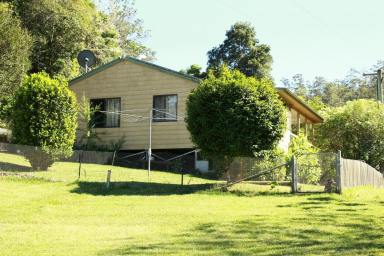 Business For Sale - NSW - Bowman - 2422 - Sustainable Hazelnut & Agritourism Business Opportunity  (Image 2)