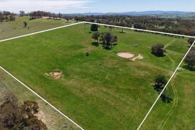Other (Rural) For Sale - NSW - Lyndhurst - 2797 - 25acres* - Building Entitlement – The Perfect Rural Lifestyle Block!  (Image 2)