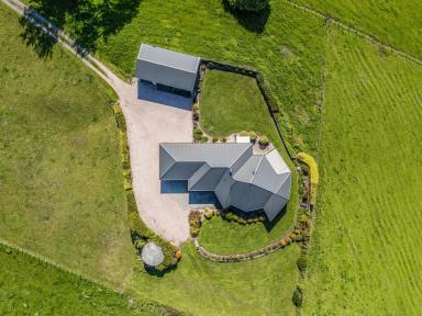 House For Sale - TAS - West Kentish - 7306 - Scenic Grazing Property  (Image 2)