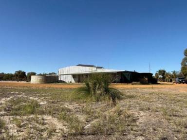Other (Residential) For Sale - WA - Gingin - 6503 - FROGMORE - LIVE, WORK & PLAY  (Image 2)