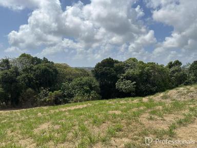 Residential Block For Sale - QLD - Richmond - 4740 - Ready to build on! (Image 2)