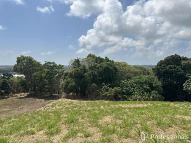 Residential Block For Sale - QLD - Richmond - 4740 - Ready to build on! (Image 2)