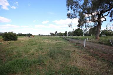 Cropping For Sale - VIC - Bamawm - 3561 - COUNTRY COTTAGE STYLE HOME ON 5 ACRES  (Image 2)